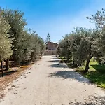 Tra Mare E Ulivi